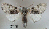  ( - acrorev156)  @14 [ ] Unspecified (default): All Rights Reserved (2012) Don Lafontaine Unspecified