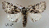  ( - acrorev157)  @14 [ ] Unspecified (default): All Rights Reserved (2012) Don Lafontaine Unspecified