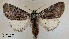  ( - acrorev158)  @14 [ ] Unspecified (default): All Rights Reserved (2012) Don Lafontaine Unspecified