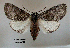  ( - acrorev160)  @14 [ ] Unspecified (default): All Rights Reserved (2012) Don Lafontaine Unspecified
