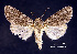  ( - acrorev164)  @13 [ ] Unspecified (default): All Rights Reserved (2012) Don Lafontaine Unspecified