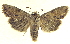  ( - 13-NCCC-020)  @14 [ ] CreativeCommons - Attribution (2013) CNC/CBG Photography Group Centre for Biodiversity Genomics