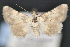  ( - CNCLEP 83657)  @12 [ ] CreativeCommons - Attribution (2013) CNC/CBG Photography Group Centre for Biodiversity Genomics