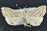  ( - CNCLEP 83713)  @14 [ ] CreativeCommons - Attribution (2013) CNC/CBG Photography Group Centre for Biodiversity Genomics