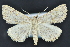 ( - CNCLEP 83714)  @14 [ ] CreativeCommons - Attribution (2013) CNC/CBG Photography Group Centre for Biodiversity Genomics