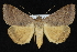  ( - CNCLEP 92292)  @14 [ ] CreativeCommons - Attribution (2013) CNC/CBG Photography Group Centre for Biodiversity Genomics
