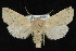  ( - CNCLEP 92303)  @14 [ ] CreativeCommons - Attribution (2013) CNC/CBG Photography Group Centre for Biodiversity Genomics