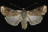  ( - CNCLEP 92304)  @14 [ ] CreativeCommons - Attribution (2013) CNC/CBG Photography Group Centre for Biodiversity Genomics
