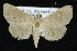  ( - CNCLEP 92312)  @14 [ ] CreativeCommons - Attribution (2013) CNC/CBG Photography Group Centre for Biodiversity Genomics