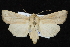  ( - CNCLEP 92337)  @14 [ ] CreativeCommons - Attribution (2013) CNC/CBG Photography Group Centre for Biodiversity Genomics
