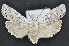  ( - CNCLEP 94248)  @14 [ ] CreativeCommons - Attribution (2013) CBG Photography Group Centre for Biodiversity Genomics