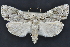  ( - CNCLEP 94265)  @14 [ ] CreativeCommons - Attribution (2013) CBG Photography Group Centre for Biodiversity Genomics