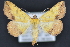  ( - CNCLEP 94279)  @14 [ ] CreativeCommons - Attribution (2013) CBG Photography Group Centre for Biodiversity Genomics
