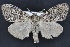  ( - CNCLEP 94292)  @14 [ ] CreativeCommons - Attribution (2013) CBG Photography Group Centre for Biodiversity Genomics