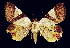  ( - KC-2002-01)  @13 [ ] CreativeCommons - Attribution (2013) CNC/CBG Photography Group Centre for Biodiversity Genomics