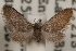  ( - DDAV-D288)  @11 [ ] CreativeCommons - Attribution (2010) Unspecified Centre for Biodiversity Genomics