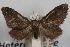  ( - DDAV-D290)  @14 [ ] CreativeCommons - Attribution (2010) Unspecified Centre for Biodiversity Genomics