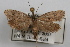  ( - DDAV-D447)  @13 [ ] CreativeCommons - Attribution (2010) Unspecified Centre for Biodiversity Genomics