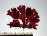  ( - GWS002219)  @14 [ ] CreativeCommons - Attribution Non-Commercial Share-Alike (2010) Unspecified University of New Brunswick