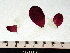  ( - GWS003120)  @13 [ ] CreativeCommons - Attribution Non-Commercial Share-Alike (2010) Unspecified University of New Brunswick