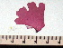  ( - GWS006714)  @13 [ ] CreativeCommons - Attribution Non-Commercial Share-Alike (2010) Unspecified University of New Brunswick