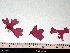  ( - GWS006716)  @13 [ ] CreativeCommons - Attribution Non-Commercial Share-Alike (2010) Unspecified University of New Brunswick