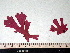  ( - GWS008175)  @13 [ ] CreativeCommons - Attribution Non-Commercial Share-Alike (2010) Unspecified University of New Brunswick