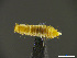  ( - cvb055stla001)  @11 [ ] CreativeCommons  Attribution Non-Commercial Share-Alike (2022) Christoph von Beeren TU Darmstadt