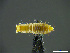  ( - cvb055stla004)  @11 [ ] CreativeCommons  Attribution Non-Commercial Share-Alike (2022) Christoph von Beeren TU Darmstadt