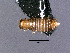  ( - cvb233_l1)  @11 [ ] CreativeCommons  Attribution Non-Commercial Share-Alike (2022) Christoph von Beeren TU Darmstadt