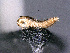 ( - cvb233_l1)  @11 [ ] CreativeCommons  Attribution Non-Commercial Share-Alike (2022) Christoph von Beeren TU Darmstadt