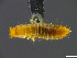  ( - cvb282bela001)  @11 [ ] CreativeCommons  Attribution Non-Commercial Share-Alike (2022) Christoph von Beeren TU Darmstadt