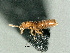  ( - cvb389_a2)  @11 [ ] CreativeCommons  Attribution Non-Commercial Share-Alike (2022) Christoph von Beeren TU Darmstadt