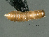  ( - cvb425_l2)  @11 [ ] CreativeCommons  Attribution Non-Commercial Share-Alike (2022) Christoph von Beeren TU Darmstadt
