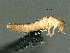  ( - cvb425_l2)  @11 [ ] CreativeCommons  Attribution Non-Commercial Share-Alike (2022) Christoph von Beeren TU Darmstadt