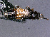  ( - cvb527_a2)  @11 [ ] CreativeCommons  Attribution Non-Commercial Share-Alike (2022) Christoph von Beeren TU Darmstadt