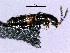  ( - cvb527_a2)  @11 [ ] CreativeCommons  Attribution Non-Commercial Share-Alike (2022) Christoph von Beeren TU Darmstadt