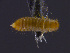  ( - cvb560bela002)  @11 [ ] CreativeCommons  Attribution Non-Commercial Share-Alike (2022) Christoph von Beeren TU Darmstadt