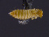  ( - cvb560bela002)  @11 [ ] CreativeCommons  Attribution Non-Commercial Share-Alike (2022) Christoph von Beeren TU Darmstadt