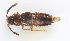 ( - cvb567mist001)  @11 [ ] CreativeCommons  Attribution Non-Commercial Share-Alike (2022) Christoph von Beeren TU Darmstadt