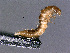  ( - cvb785_786_l1)  @11 [ ] CreativeCommons  Attribution Non-Commercial Share-Alike (2022) Christoph von Beeren TU Darmstadt