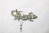  ( - 11551RAr)  @12 [ ] Unspecified (default): All Rights Reserved (2014) L.J. Avila CENPAT