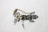  ( - 9469RAr)  @13 [ ] Unspecified (default): All Rights Reserved (2014) L.J. Avila CENPAT