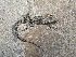  ( - 9897RAr)  @12 [ ] Unspecified (default): All Rights Reserved (2014) L.J. Avila CENPAT