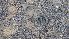  (Hemorrhois - CIBIO.13634)  @11 [ ] Copyright (c) (2017) JC Brito CIBIO