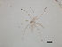  (Illinoia goldamaryae - CNC#HEM057301)  @12 [ ] CreativeCommons - Attribution (2009) Unspecified Centre for Biodiversity Genomics