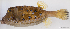  ( - T0503_015)  @11 [ ] CreativeCommons - Attribution Non-Commercial Share-Alike (2018) Henitsoa Jaonalison IH.SM, Toliara, Madagascar
