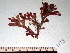  ( - GWS001973)  @11 [ ] CreativeCommons - Attribution Non-Commercial Share-Alike (2010) Unspecified University of New Brunswick