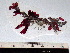  ( - GWS002429)  @11 [ ] CreativeCommons - Attribution Non-Commercial Share-Alike (2010) Unspecified University of New Brunswick