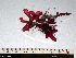  ( - GWS002431)  @11 [ ] CreativeCommons - Attribution Non-Commercial Share-Alike (2010) Unspecified University of New Brunswick